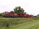 CP 8810